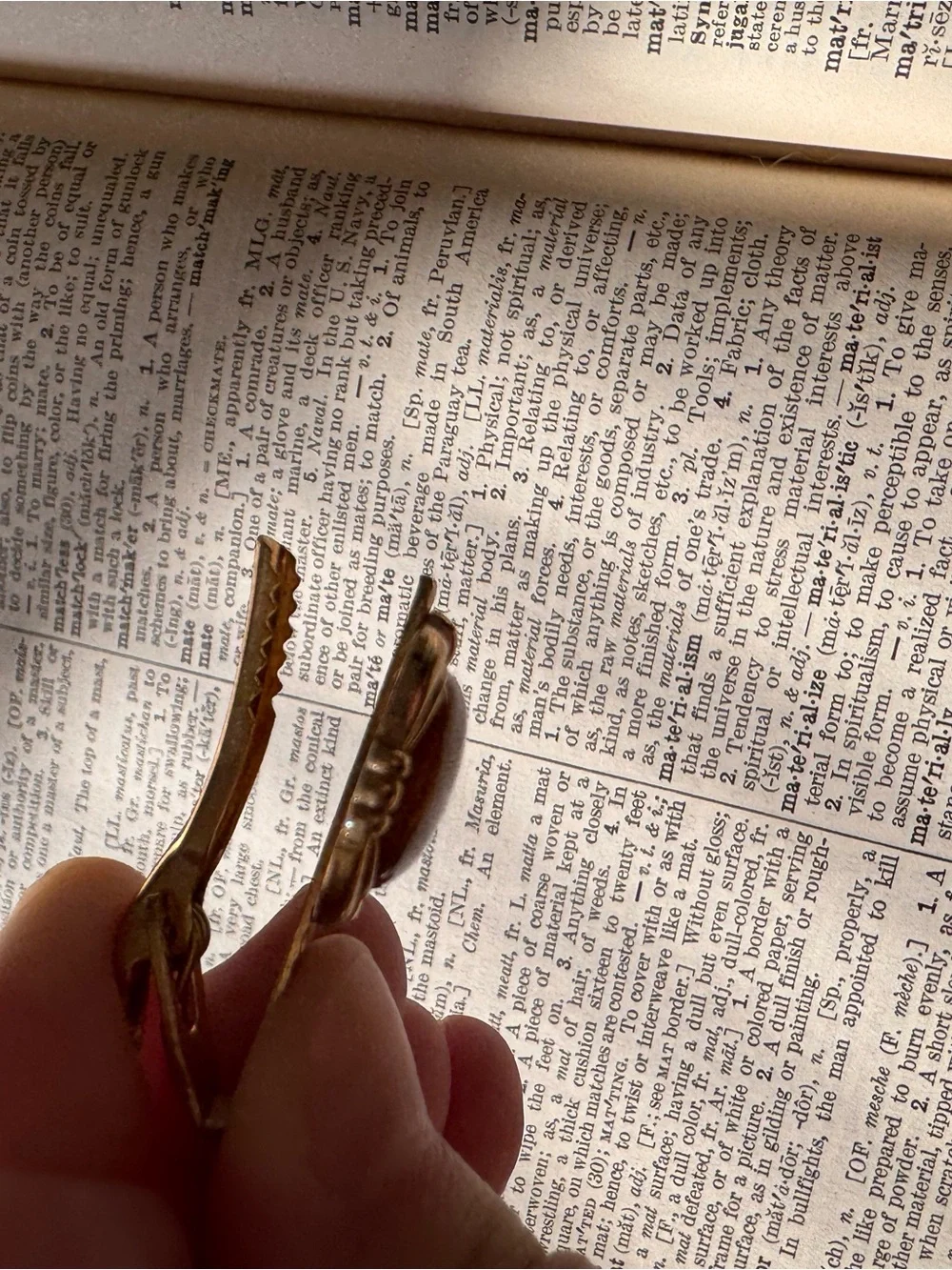 Tigers Eye Clip on Gem